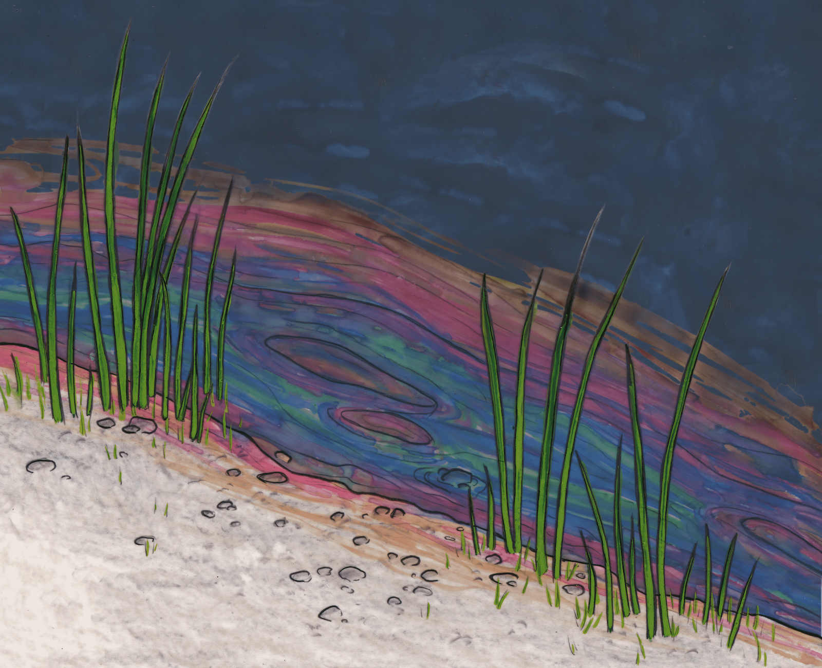 Oil sheen over the water with long grass along the shoreline. 