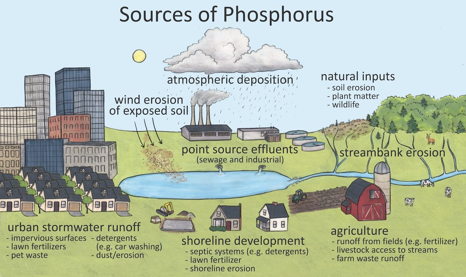 Hand drawn image illustrating phosphorus inputs to a pond from natural processes (illustrated by soil erosion from hillsides), agriculture (illustrated by a farm on the edge of the pond), shoreline development (illustrated by houses built on the edge of the pond), urban stormwater runoff (illustrated by a sketch of a city), wind erosion from exposed soils, and atmospheric deposition by rain.