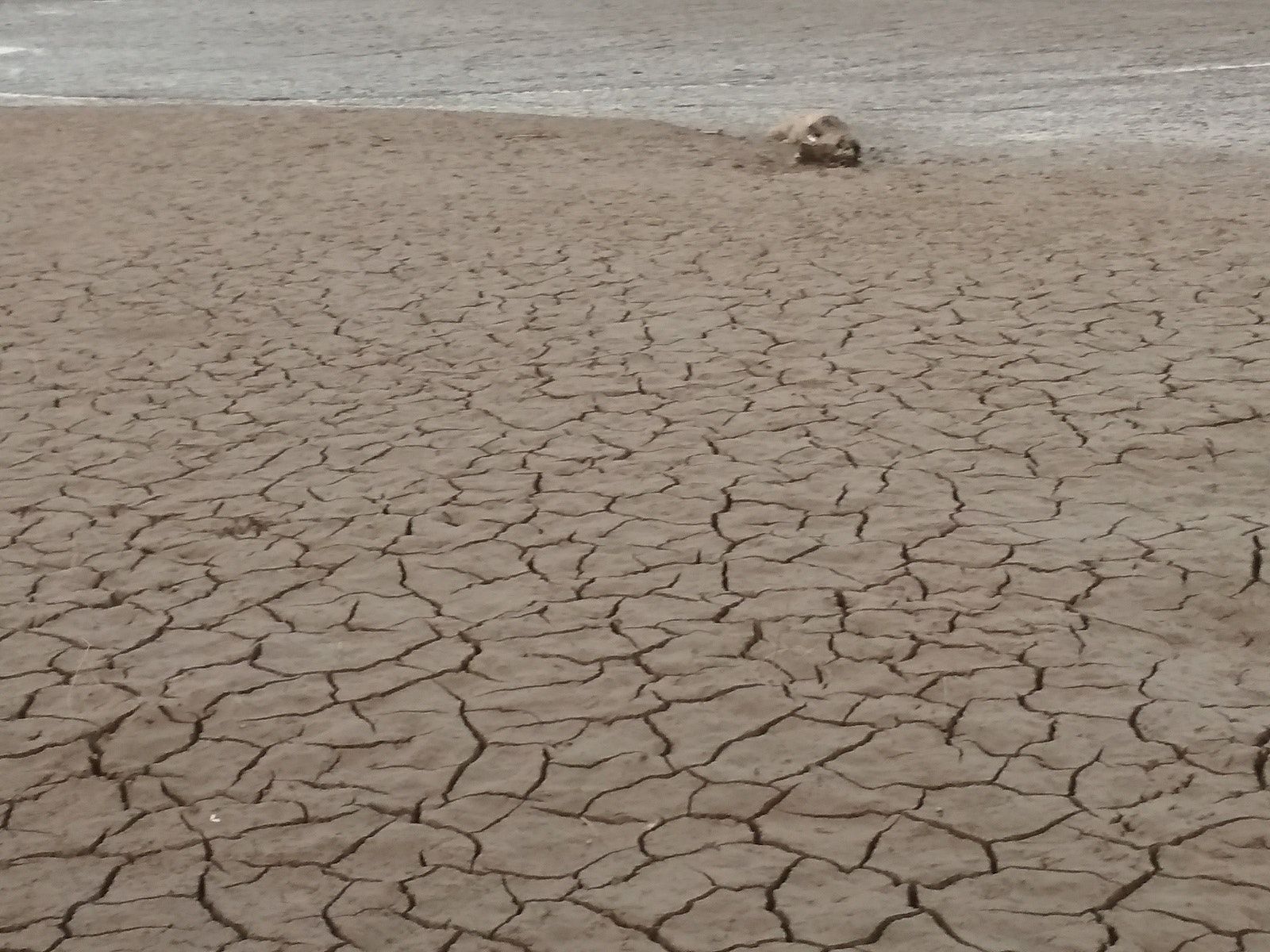 A lake in drought