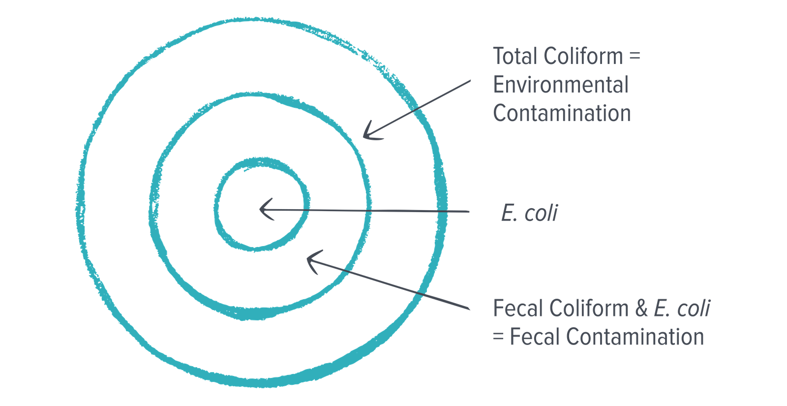 A turquoise target-like image showing an arrow to the outer ring with the label "Total Coliform = Environmental Contamination", the second label "E. coli" points to the center ring and the third label points to the middle ring with the label "Fecal Coliform & E. coli = Fecal Contamination".