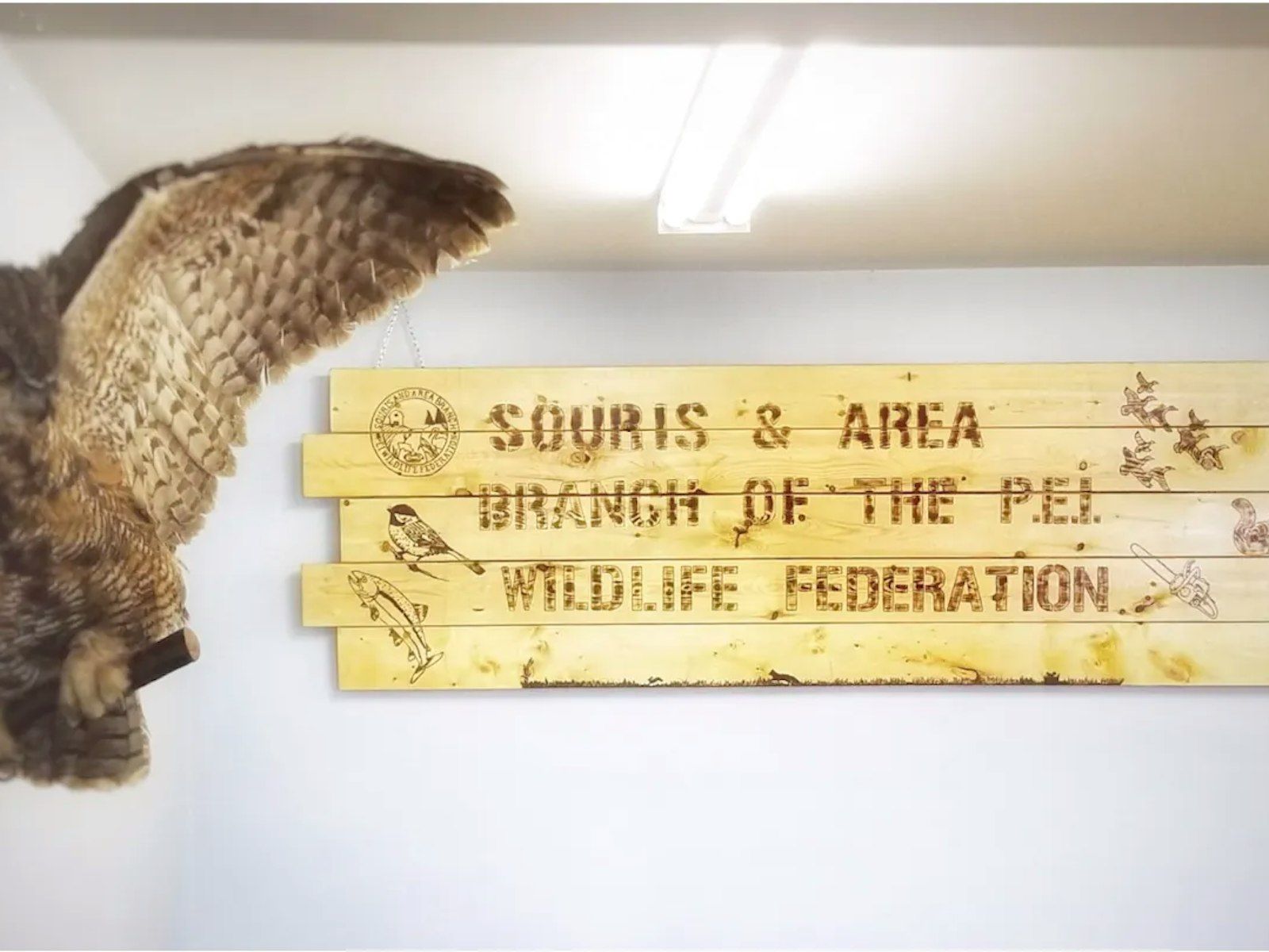 Wooden sign reading 'Souris & Area Branch of the PEI Wildlife Federation'
