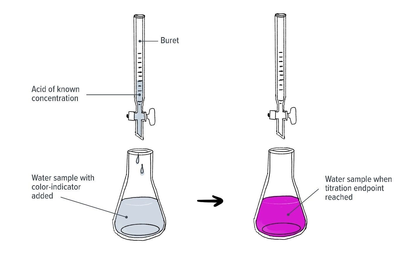 Diagram of titration process.