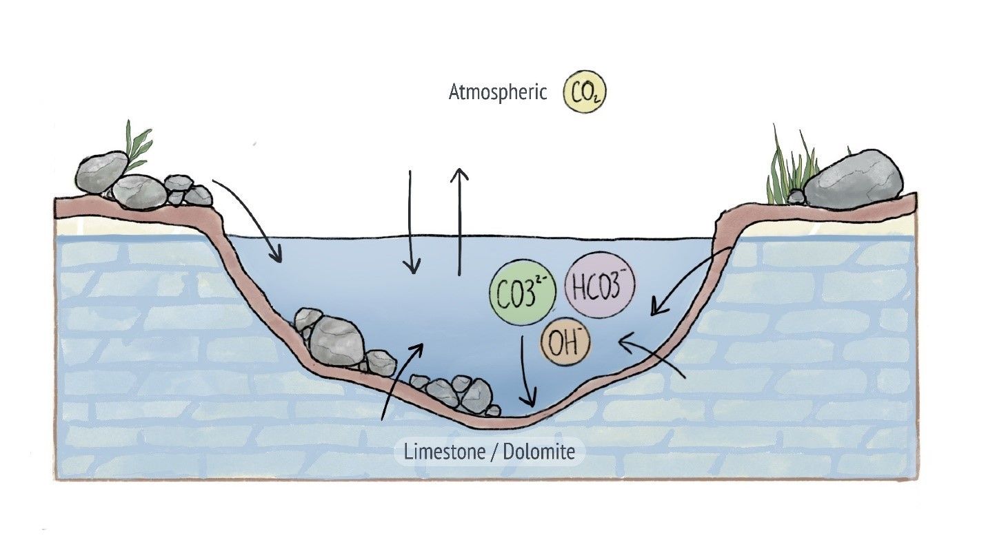 Diagram showing how alkalinity is influenced by limestone and the atmosphere.