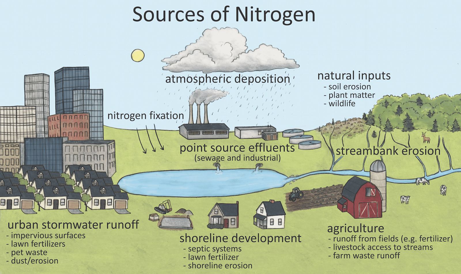 Hand drawn image illustrating nitrogen inputs to a pond from natural processes (illustrated by soil erosion from hillsides), agriculture (illustrated by a farm on the edge of the pond), shoreline development (illustrated by houses built on the edge of the pond), urban stormwater runoff (illustrated by a sketch of a city), wind erosion from exposed soils, and atmospheric deposition by rain.