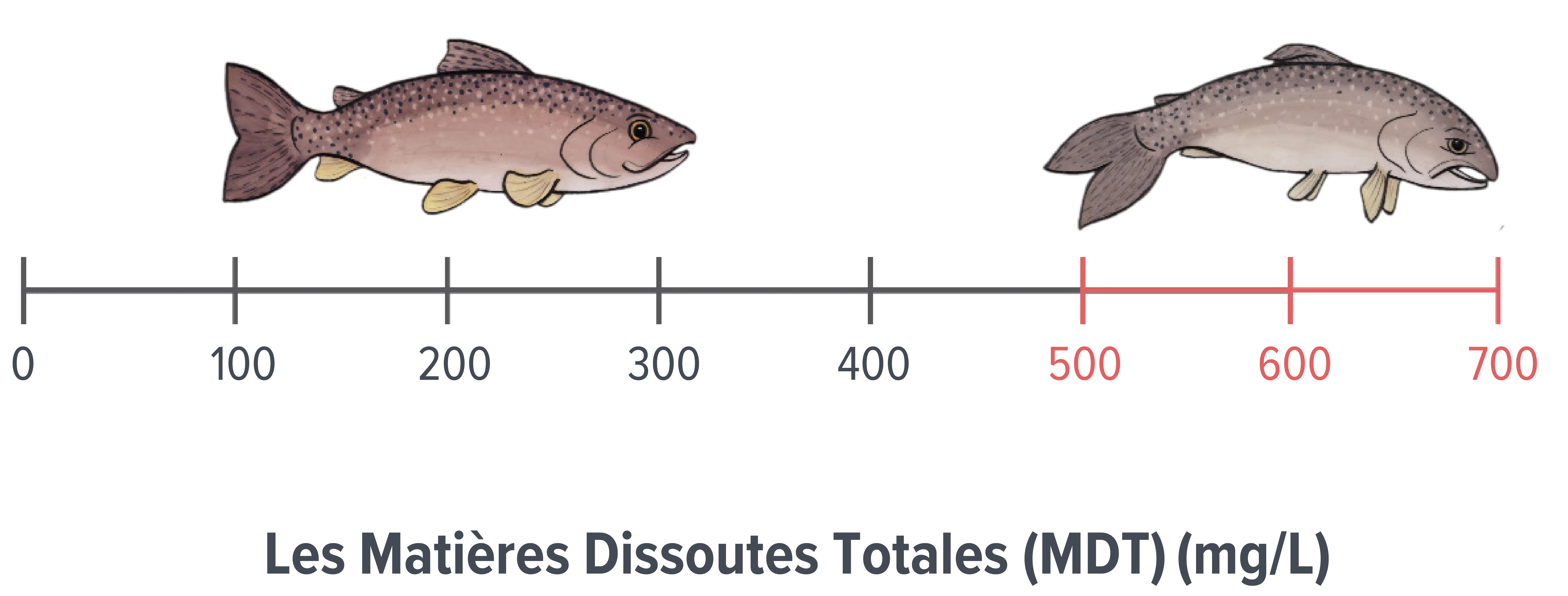 Échelle de concentration des matières dissoutes totales montrant un poisson sain entre 0 et 300 milligrammes par litre et un poisson en mauvaise santé entre 500 et 700 milligrammes par litre.