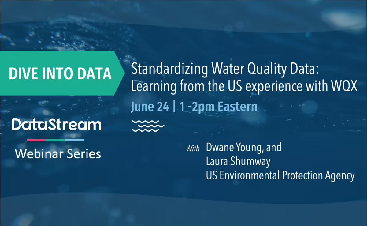 Standardizing Water Quality Data: Learning from the US experience with WQX webinar video.