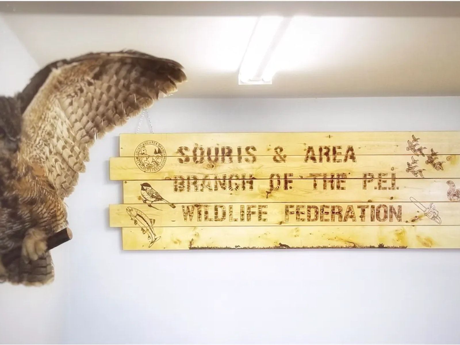 Wooden sign reading 'Souris & Area Branch of the PEI Wildlife Federation'