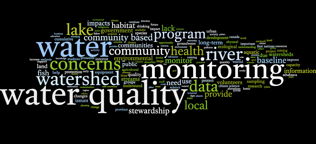 word map of words associated to community based monitoring
