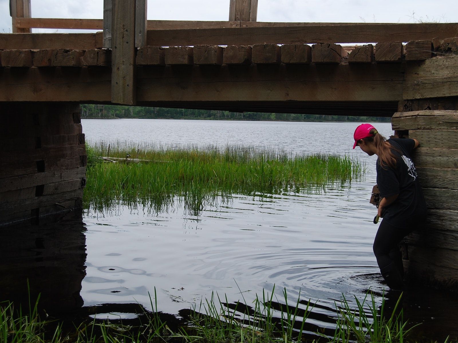 woman stands under wooden bridge knee deep in water to put temperature logger in