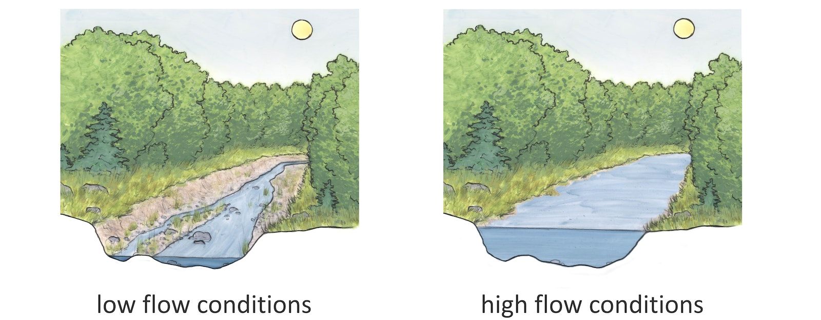 Two hand drawn images of a stream with trees on both shores. The drawing on the left shows low flow conditions and the one on the right shows high flow conditions.