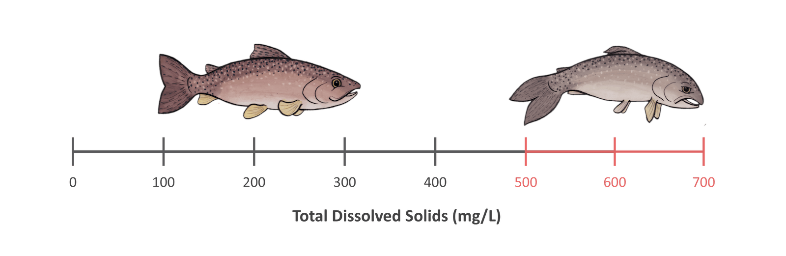 Concentration scale for total dissolved solids showing healthy fish between 0 and 300 milligrams per liter and unhealthy fish between 500 and 700 milligrams per liter.