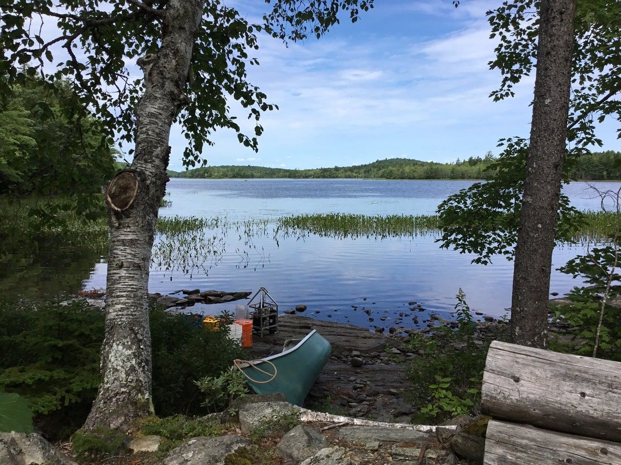 Canoe on a lake surrounded by trees --- Canot sur un lac entouré d'arbres
