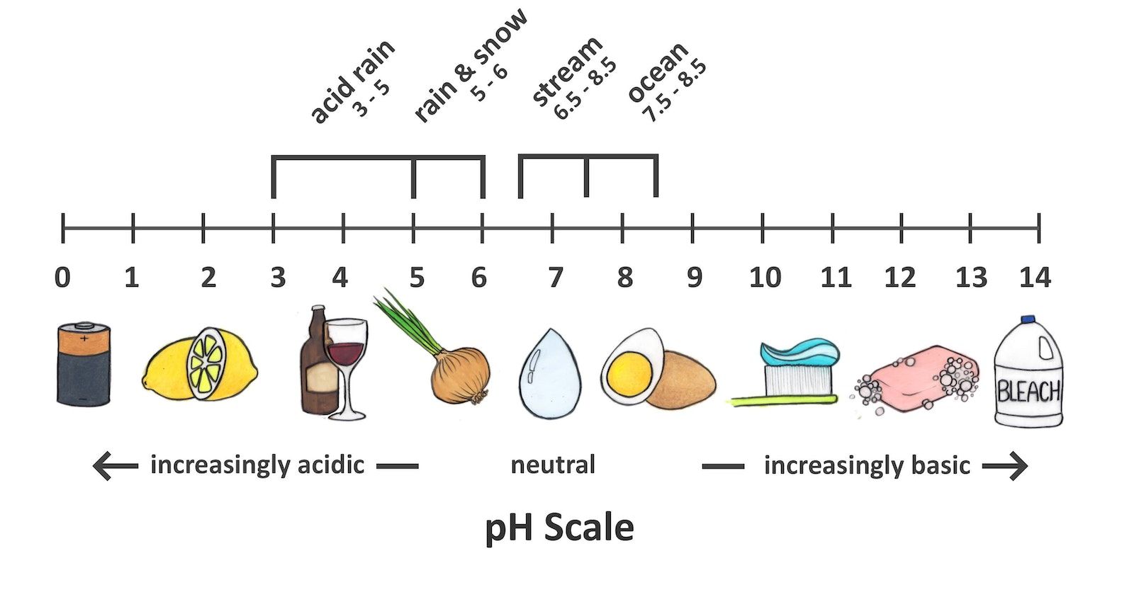 Drawing of a pH scale showing pH values between 0 and 14. Neutral values are indicated near pH 7, increasingly acidic pH is indicated toward pH 0, and increasingly alkaline pH values are shown between pH 7 and 14. Various items (e.g., water, soap) as are depicted along the scale at their respective pH values.