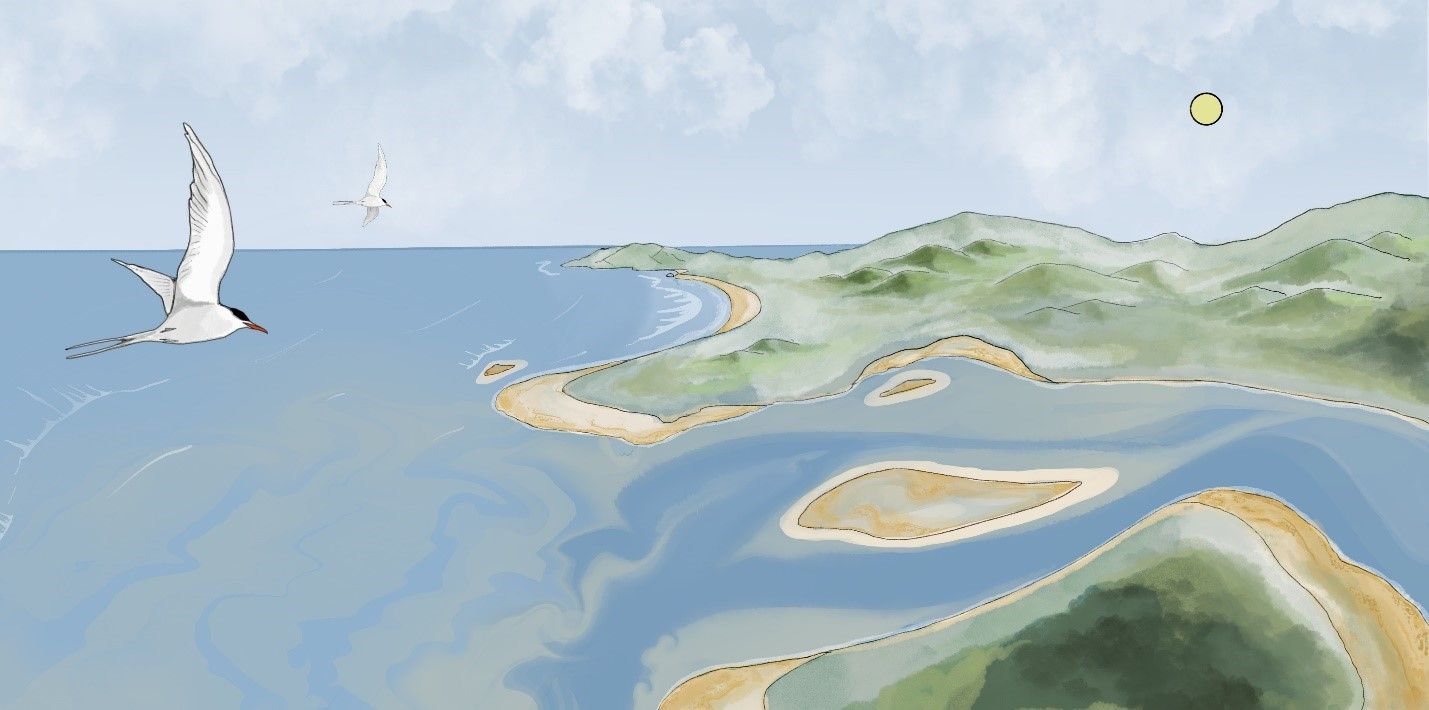 An estuary where freshwater and ocean water mixes, birds flying over the water.