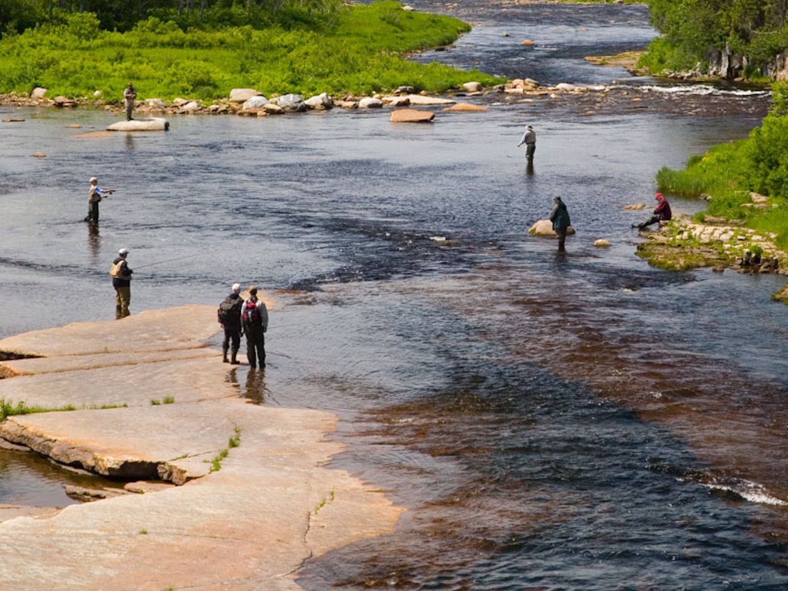 People standing and fishing in a river