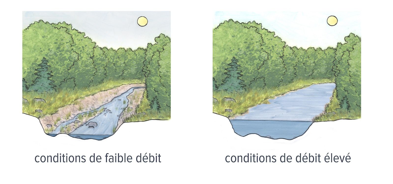Deux images dessinées à la main d'un ruisseau avec des arbres sur les deux rives. Le dessin de gauche montre des conditions de faible débit et celui de droite des conditions de débit élevé.