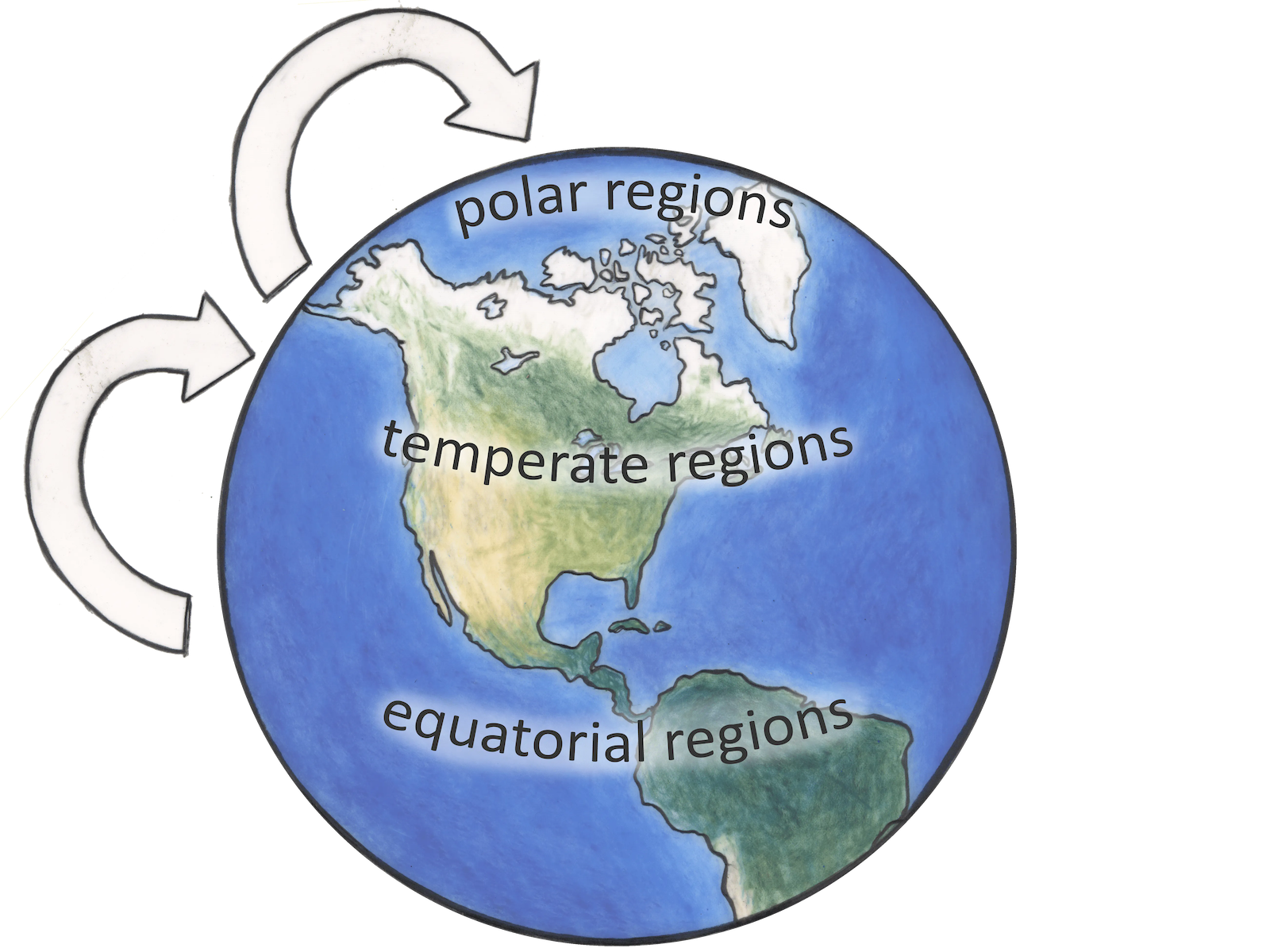 Hand drawn image of the Earth that illustrates using arrows the transport of persistent organic pollutants, which make their way from equatorial zones to temperate regions and finally to polar regions.